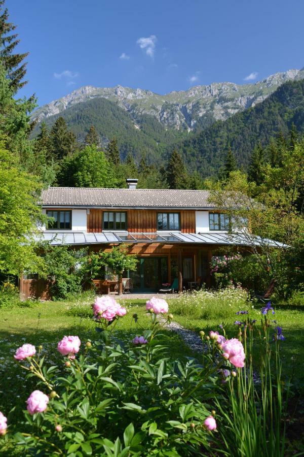 Petra Maria Soelle - Ferienhaus Sehr Privat Presseggersee Luaran gambar